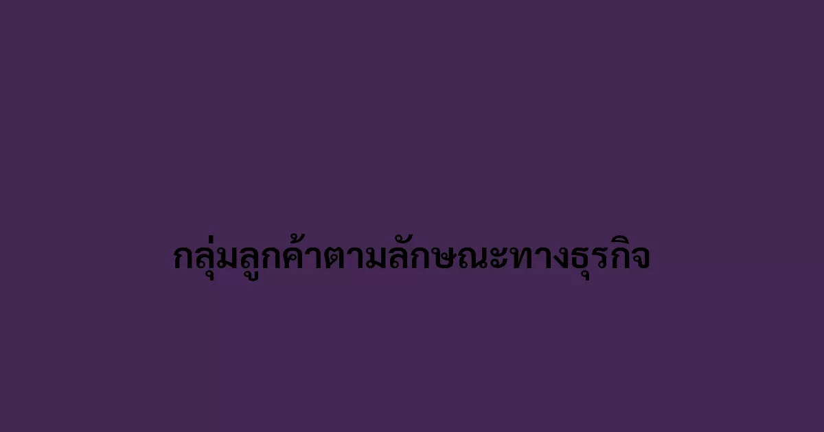 กลุ่มลูกค้าตามลักษณะทางธุรกิจ