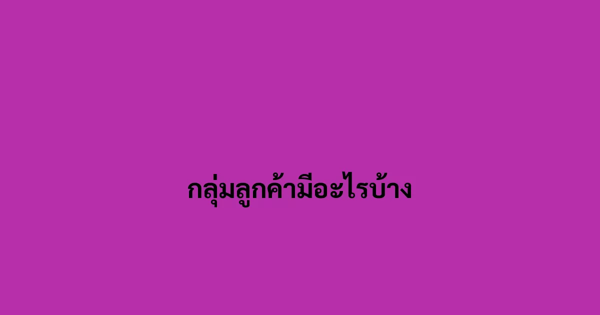 กลุ่มลูกค้ามีอะไรบ้าง