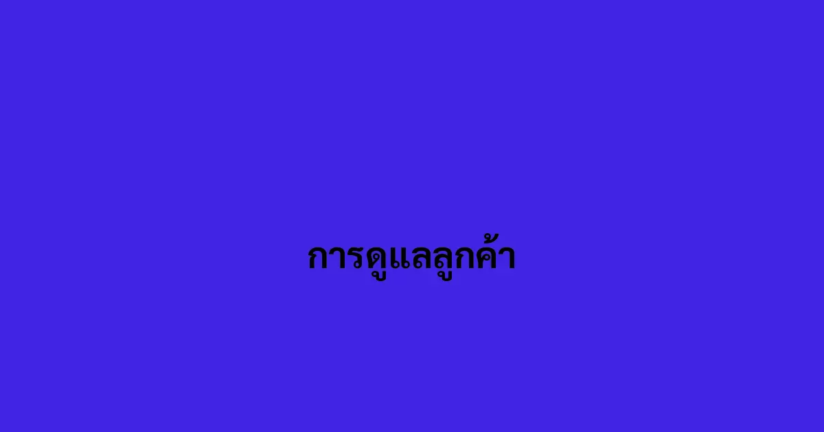 การดูแลลูกค้า