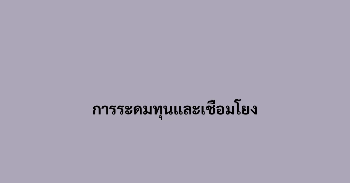 การระดมทุนและเชื่อมโยง
