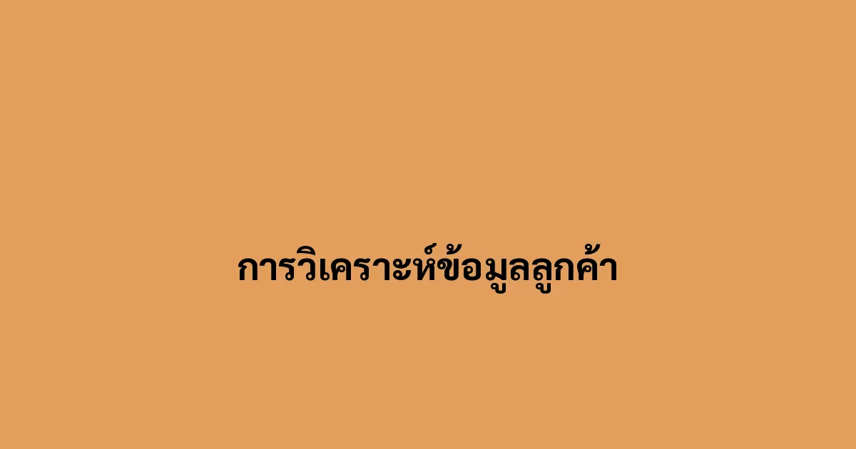 การวิเคราะห์ข้อมูลลูกค้า