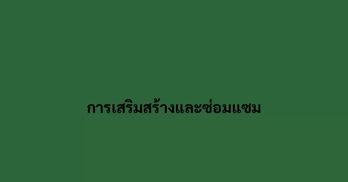 การเสริมสร้างและซ่อมแซม