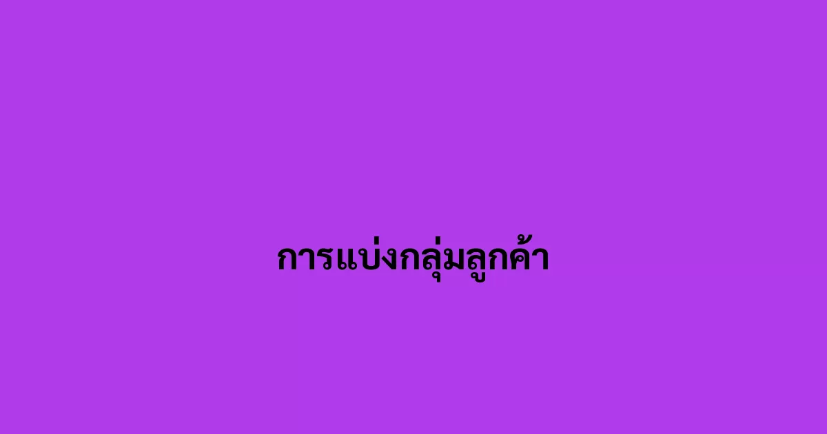 การแบ่งกลุ่มลูกค้า