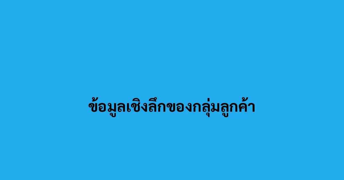 ข้อมูลเชิงลึกของกลุ่มลูกค้า